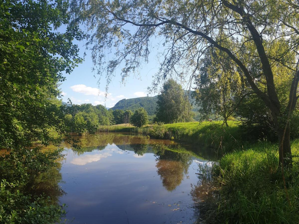 Отель Valea Doamnei Nucsoara  Экстерьер фото