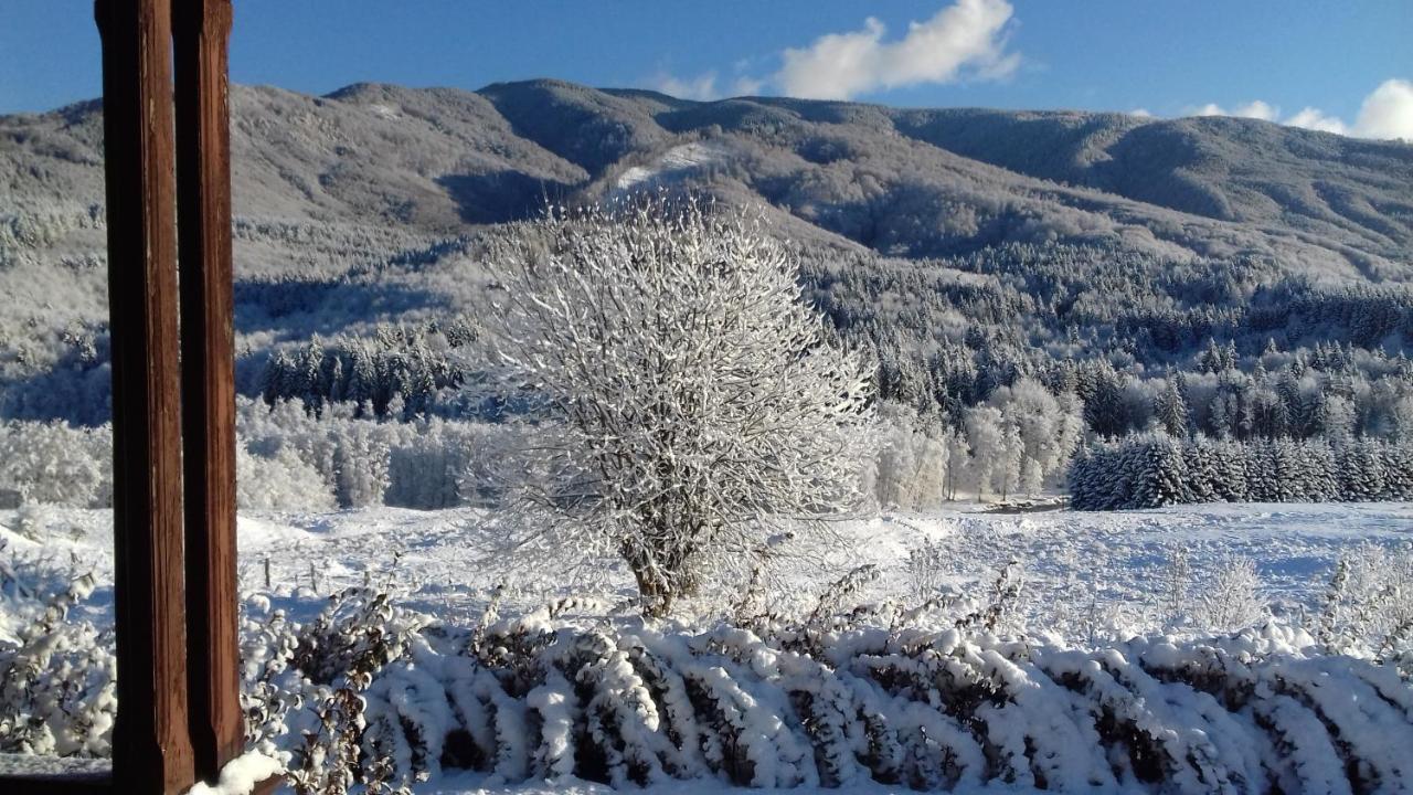 Отель Valea Doamnei Nucsoara  Экстерьер фото