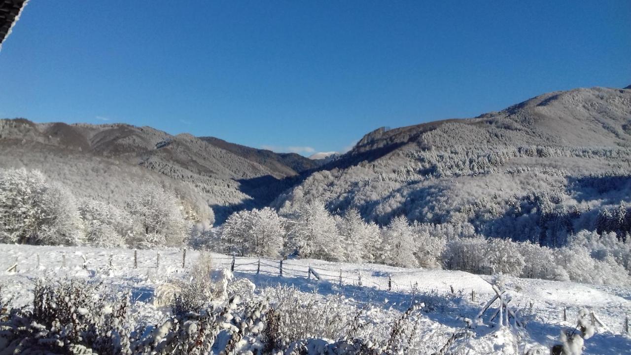 Отель Valea Doamnei Nucsoara  Экстерьер фото